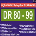 20 HIGH DR 80-90 DO FOLLOW Backlinks