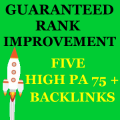 Buy High DA Backlinks