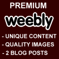 Premium Web 2.0 Weebly Set Up