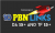 Rankers PBN Elite service 10 quality links from DA 15+ and TF 15+