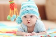 Baby Niche PBN Backlinks