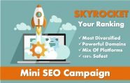 Mini Seo Rankers Blast Seo Pakage