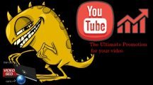 Monster Video Seo Premium Package