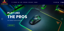 Gaming WordPress Dropshipping Website Ready to make you $$$$$
