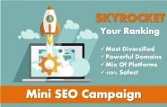 Mini Seo Campaign