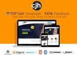 Build you a responsive WordPress website that is search engine optimised