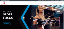 Sports Niche WordPress Dropshipping Website Ready to make you $$$$$